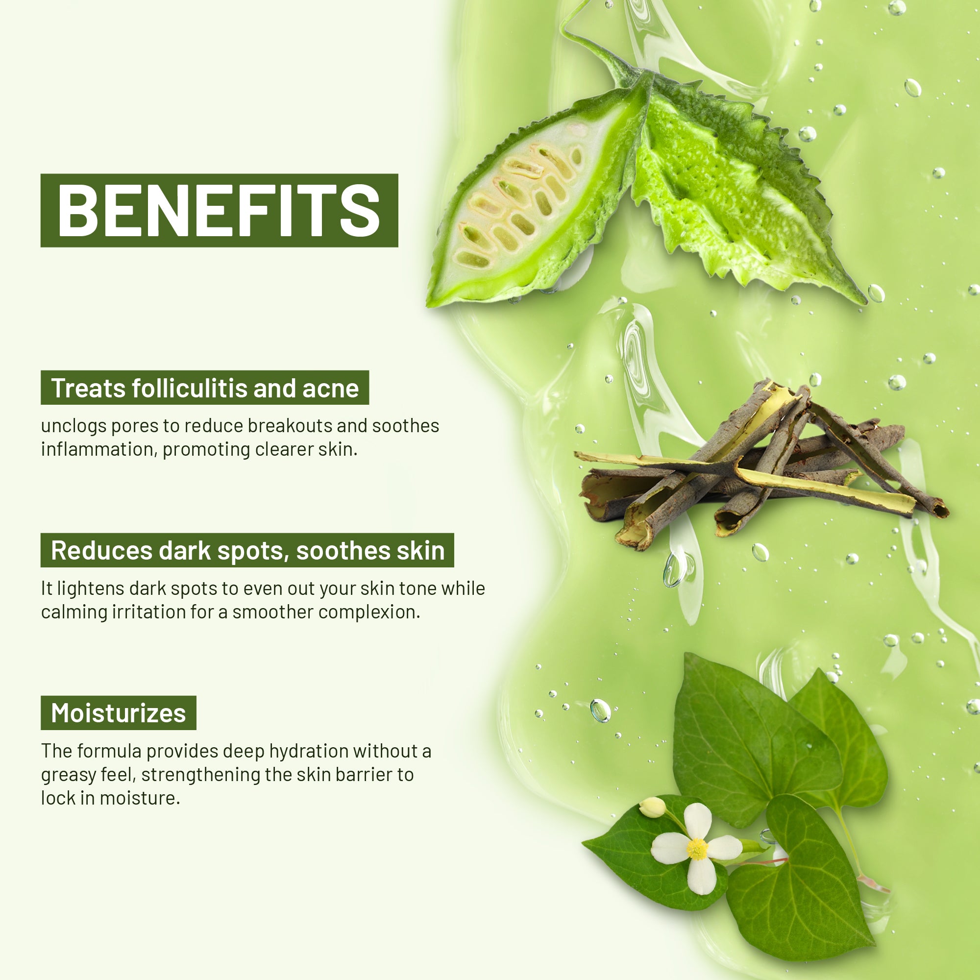 ABERA  Folliculitis Body Wash with Wild Bitter Melon Extract